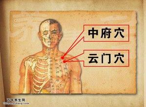 云门穴在线视频