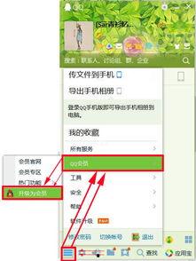 qq会员发送在线视频