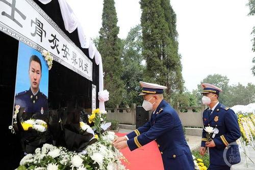 冯坪坪在线视频,在线视频中的魅力与智慧